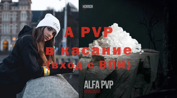 сатива Баксан