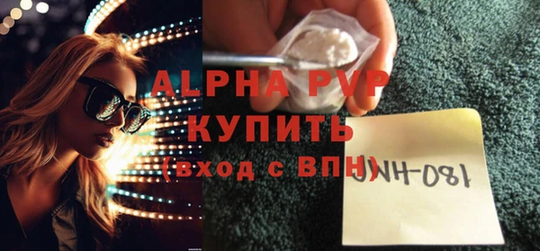 сатива Баксан