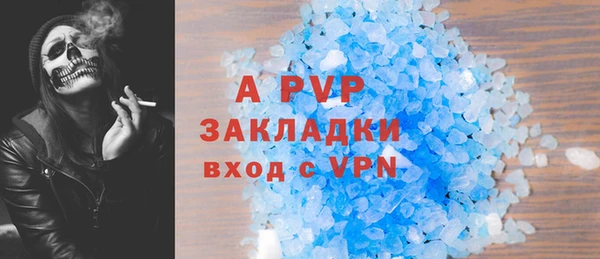 индика Осташков