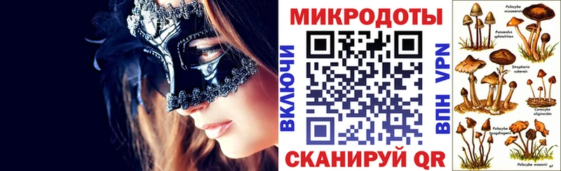 Псилоцибиновые грибы мицелий Макарьев